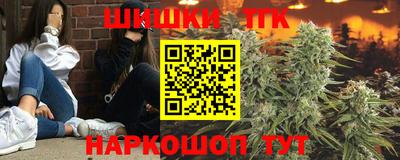 тгк Гатчина