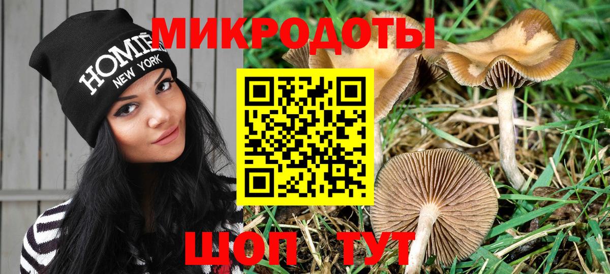 Псилоцибиновые грибы MAGIC MUSHROOMS Мценск