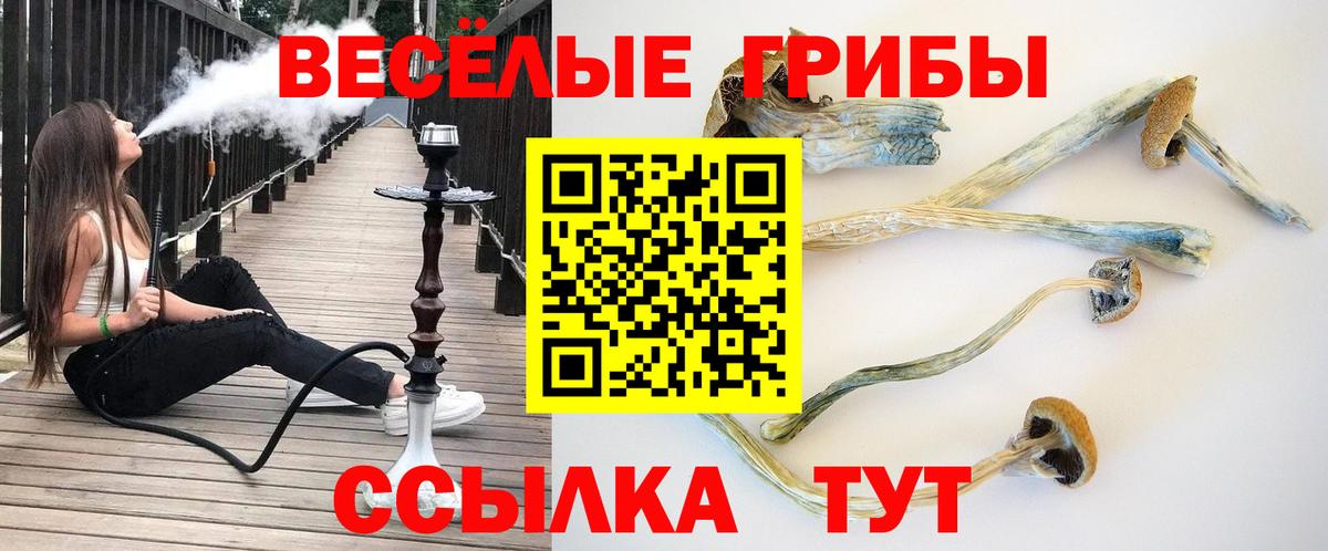 Псилоцибиновые грибы ЛСД  Галлюциногенные грибы мухоморы  Мценск  Вход с VPN 