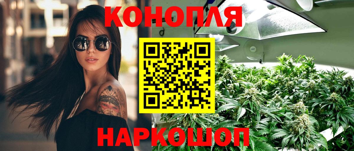 МАРИХУАНА семена Мценск